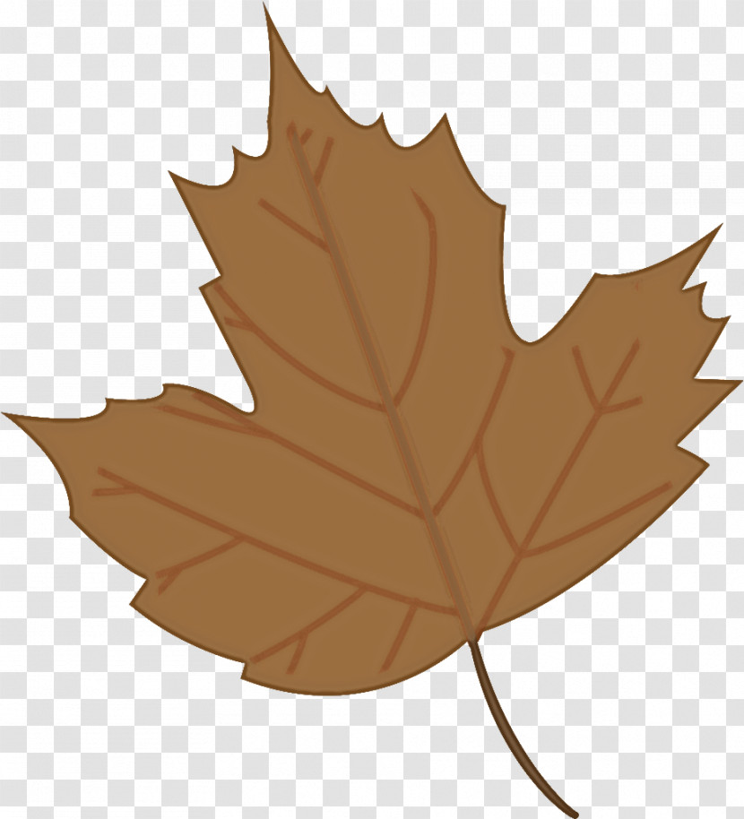 Leaf Maple Leaf / M Tree Plant Structure Biology Transparent PNG