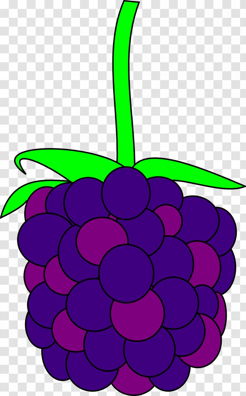 Blackberry Clip Art - Petal - A Bunch Of Grapes Transparent PNG