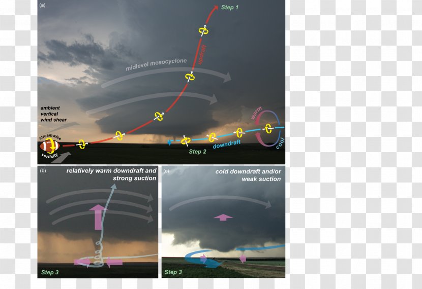 VORTEX Projects Wind Tornadogenesis Mesocyclone - Vorticity - Tornado Transparent PNG