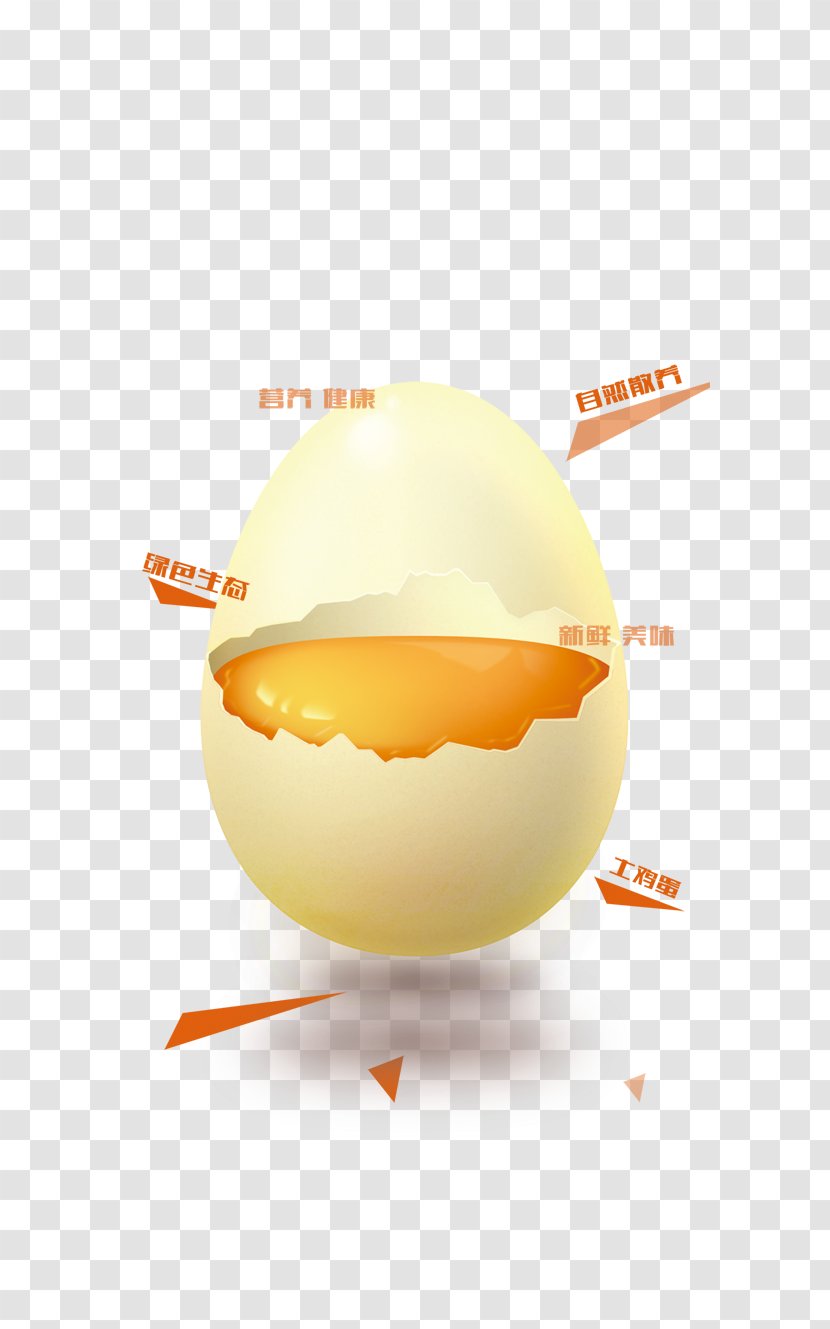 Nutrition Egg Chicken Free Range - Food Transparent PNG