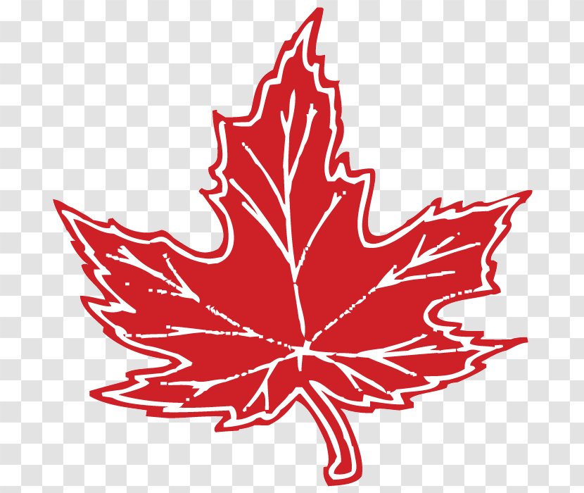 Maple Leaf Red Flag Of Canada Japanese Transparent PNG