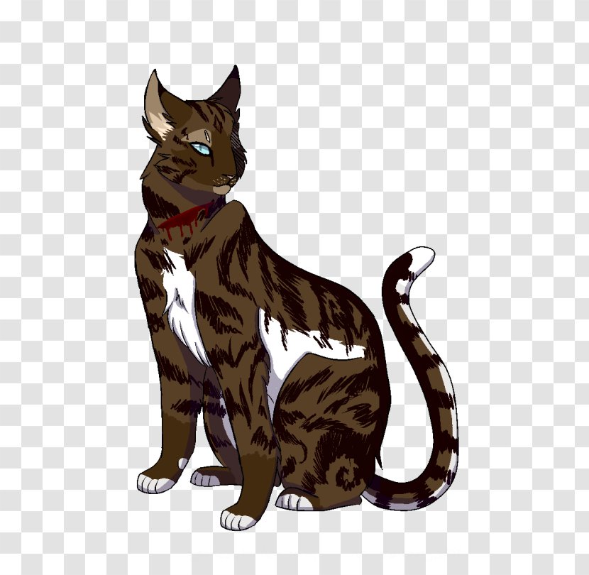 Toyger Sokoke Whiskers Tabby Cat Domestic Short-haired - Shorthaired - Kitten Transparent PNG