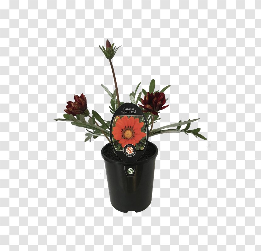 Cut Flowers Vase Plant Flowerpot - Gazania Transparent PNG