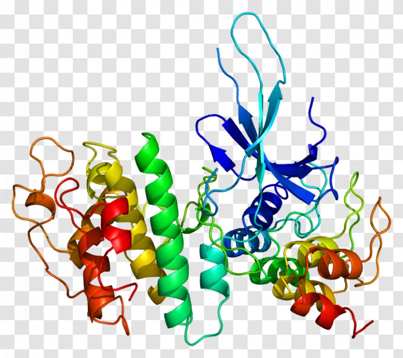 Cyclin-dependent Kinase 6 Complex - Food - Text Transparent PNG