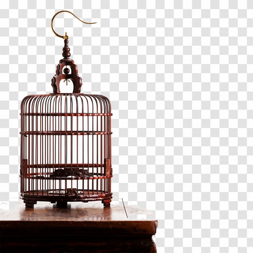 Birdcage Computer File - Culture - Vintage Transparent PNG