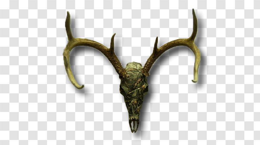 Elk Trophy Hunting - Deer Skull Transparent PNG