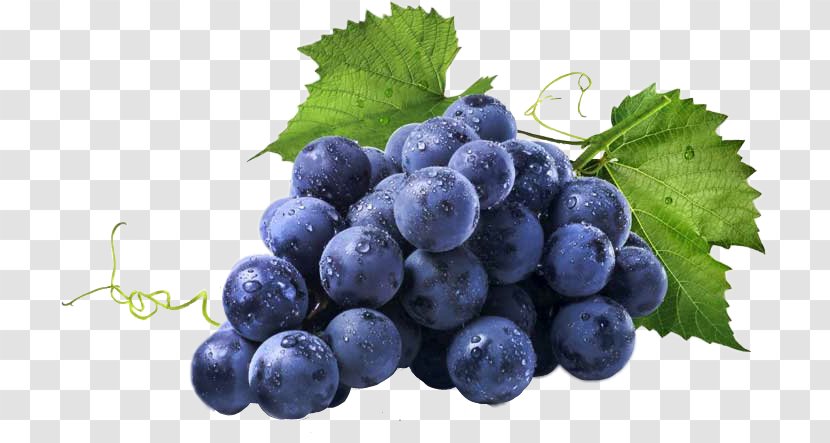 Common Grape Vine Wine Image Fruit - Nutrition Transparent PNG