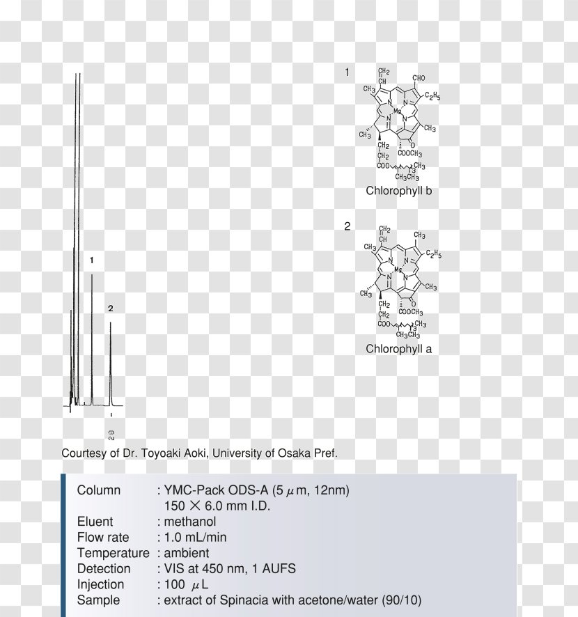 Paper Line Angle Font - Brand - Crude Drug Transparent PNG