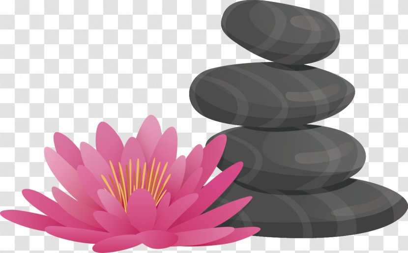 Day Spa Blue Color - Vector Hand-painted Stones And Lotus Transparent PNG