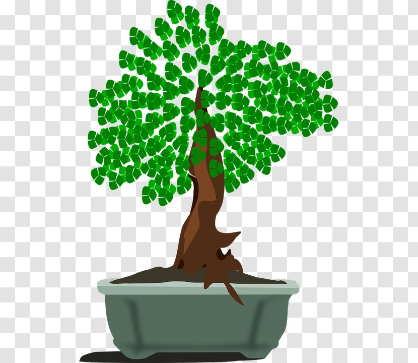 Bonsai Tree Graphics Clip Art Image Transparent PNG