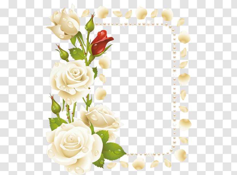 Borders And Frames Rose Flower Clip Art - Petal - بارك الله Transparent PNG