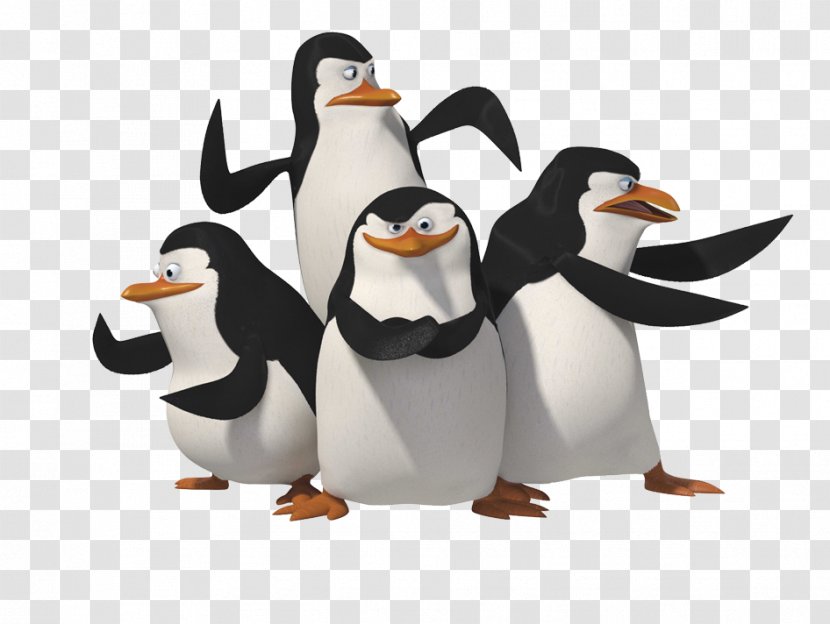 Skipper Penguin Madagascar - Film - Penguins Transparent PNG