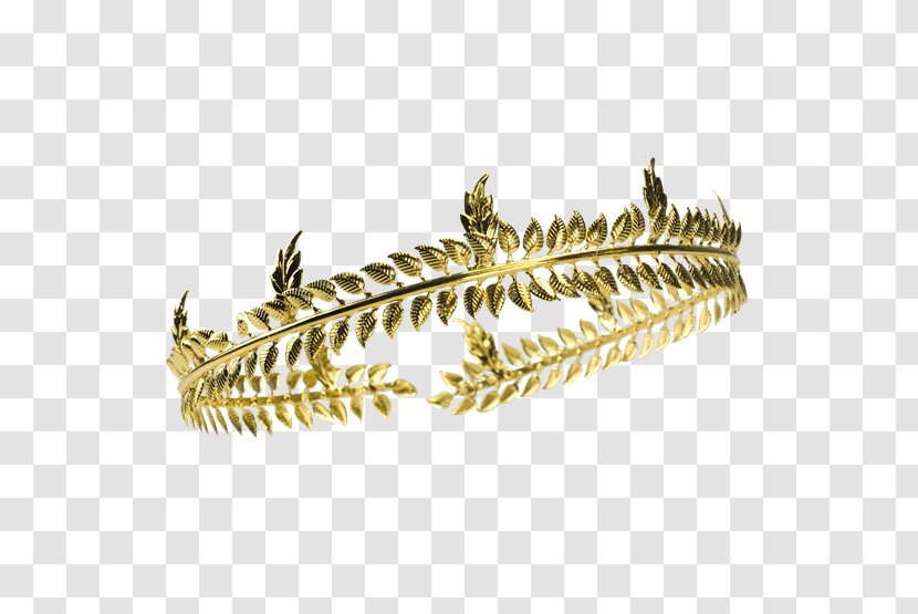 Jewellery Laurel Wreath Crown Bay - Clothing Accessories Transparent PNG