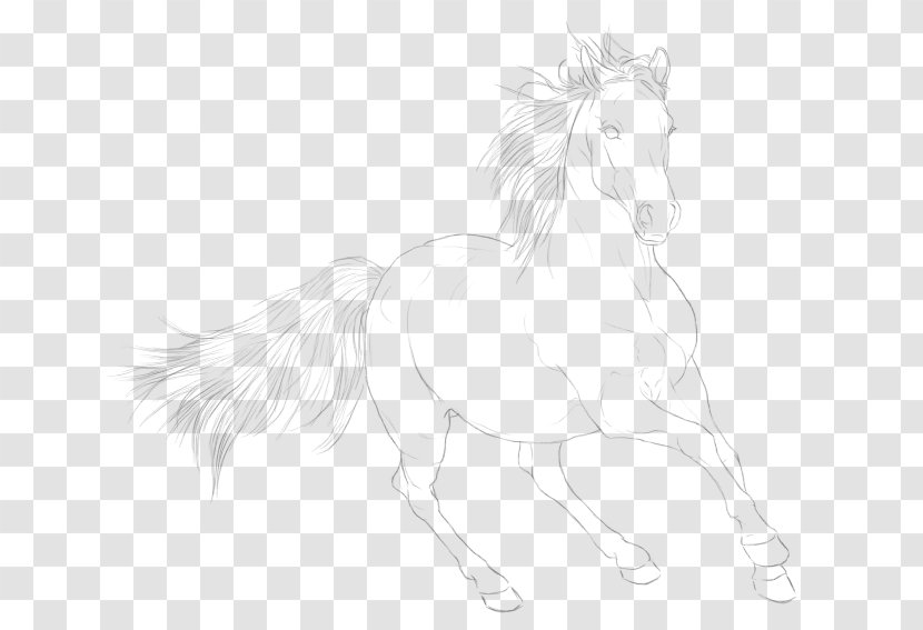 Mustang .to Stallion Pack Animal Sketch - Wing - Journal Tail Footer Line Transparent PNG