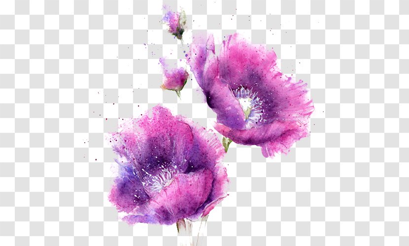 Watercolor Painting - Violet - Purple Flowers Transparent PNG