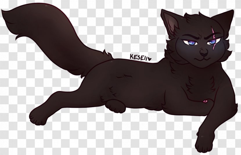Black Cat Kitten Whiskers Canidae Transparent PNG
