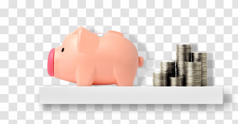 Skin Saving - Piggy Bank Transparent PNG