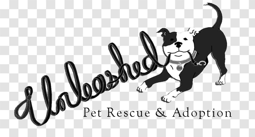 Cat Wire Hair Fox Terrier Unleashed Pet Rescue Chihuahua Animal Group - Human Behavior - Dog Transparent PNG