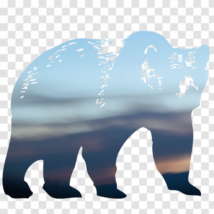 Polar Bear Cartoon - Meter - Grizzly Animal Figure Transparent PNG