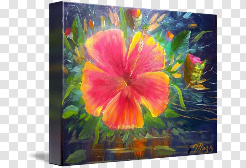 Rosemallows Oil Painting Art Watercolor - Hibiscus Transparent PNG