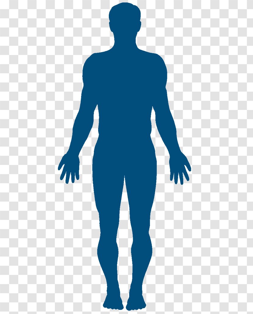 Vector Graphics Clip Art Silhouette Human Body Stock Photography - Standing - Cama De Corpo Transparent PNG