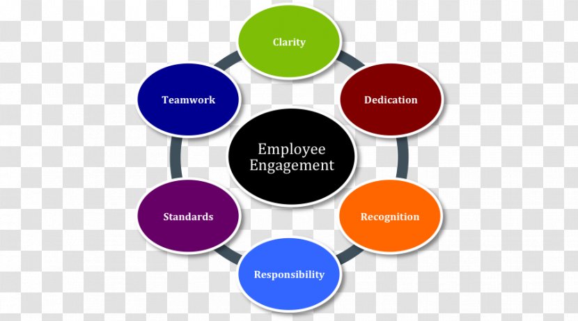 Employee Engagement Organization Management Information Empowerment - Keyword Research Transparent PNG
