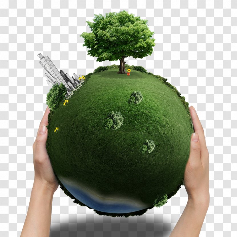 Earth Greening Vegetation Natural Environment - Ecology - Green Transparent PNG