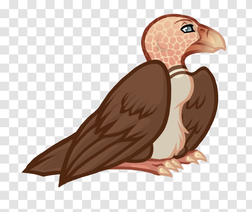 Vulture Beak Eagle Bird - Cartoon Transparent PNG