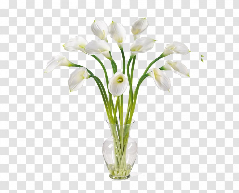 Arum-lily Artificial Flower Lilium Callalily - Yellow - Calla Image Transparent PNG