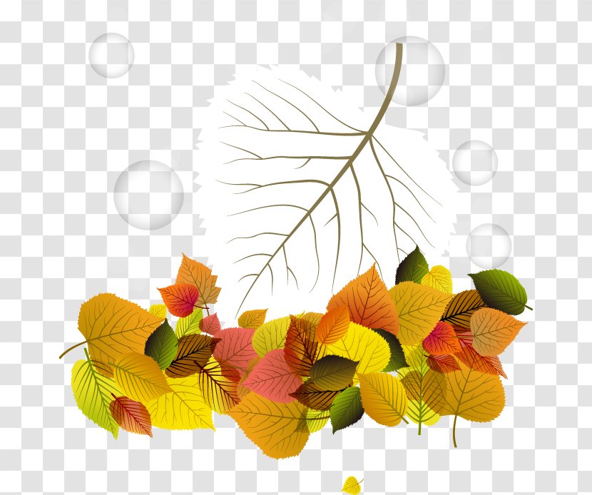 Trunk Leaf Tree - Flower - Vector Autumn Leaves And Transparent PNG