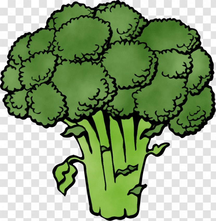 Green Cruciferous Vegetables Leaf Vegetable Plant Clip Art - Flower Transparent PNG