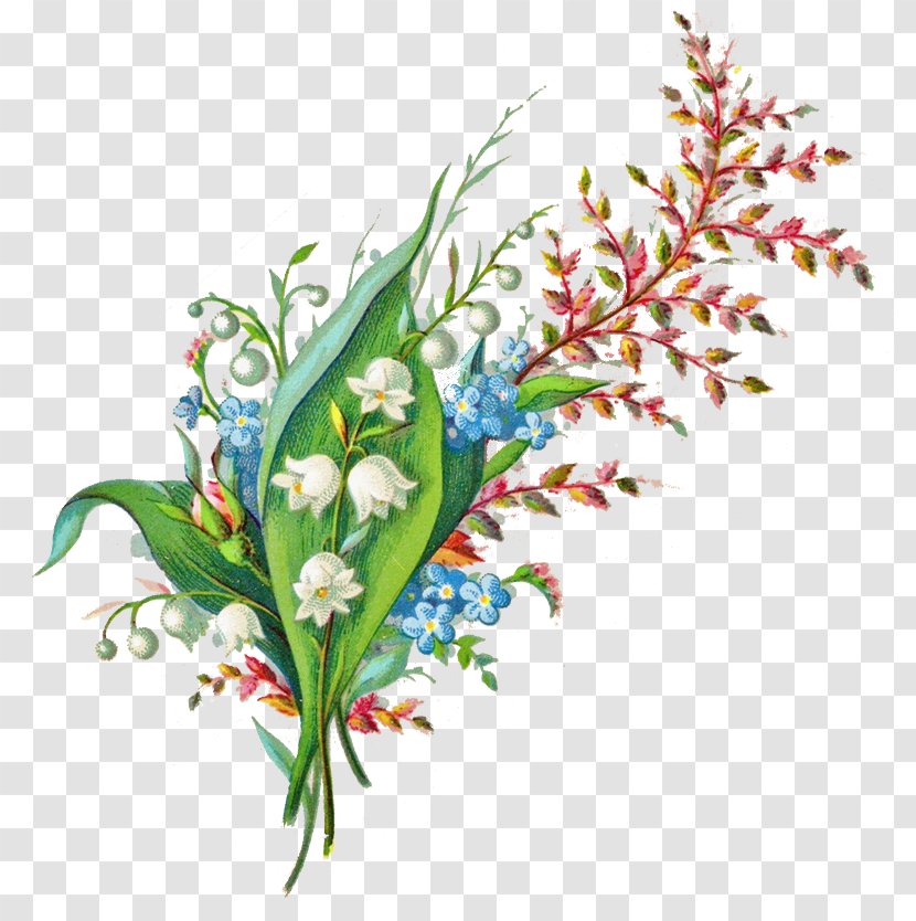 Flower Floral Design - Art - Lily Of The Valley Transparent PNG