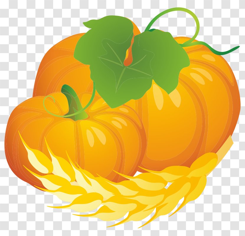 Jack-o'-lantern Pumpkin Winter Squash Calabaza Gourd - Woven Fabric Transparent PNG