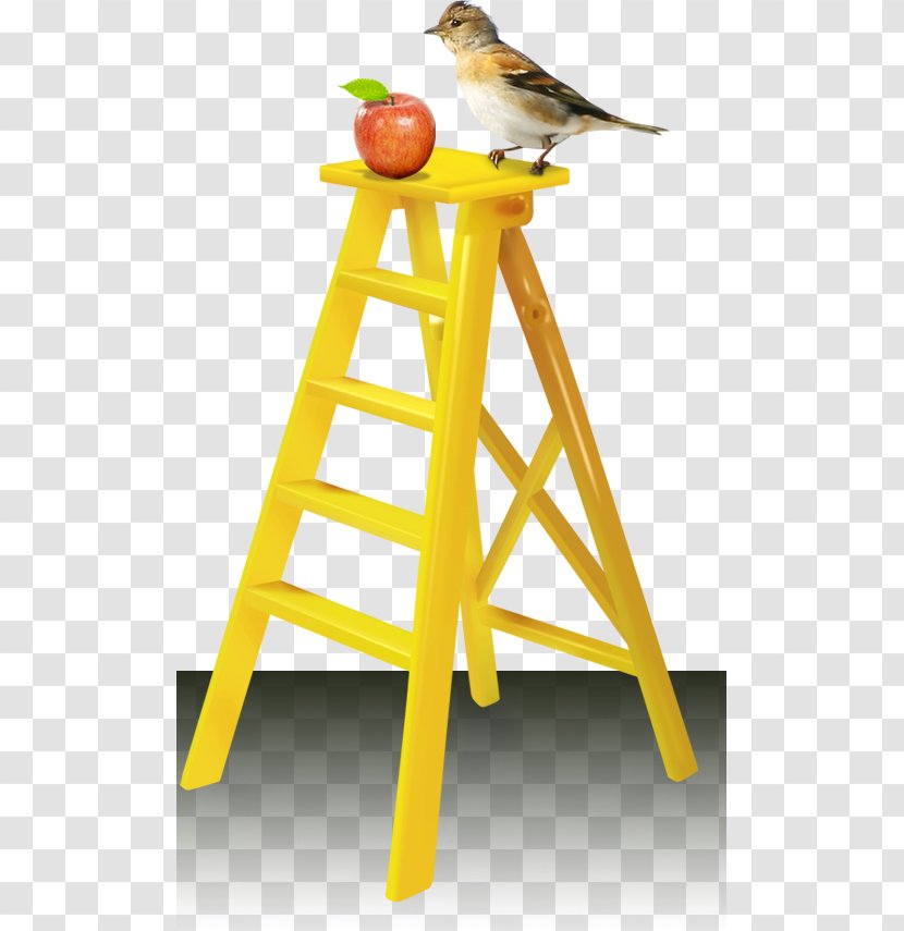 Apple Ladder - Resource - Yellow Bird Material Transparent PNG