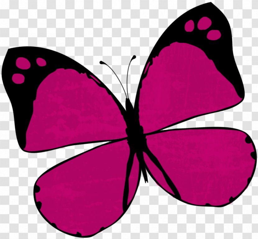 Monarch Butterfly Nymphalidae Naver Blog Clip Art - Petal Transparent PNG