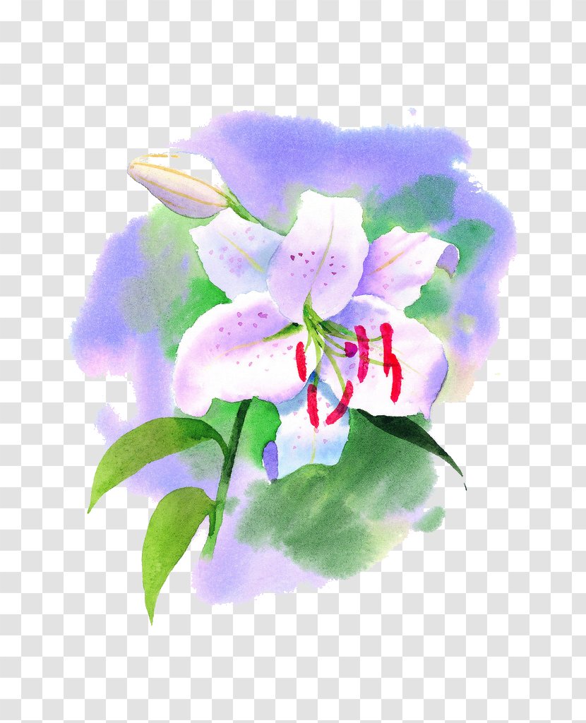 Lilium Flower Water Lily Watercolor Painting - Floral Design Transparent PNG