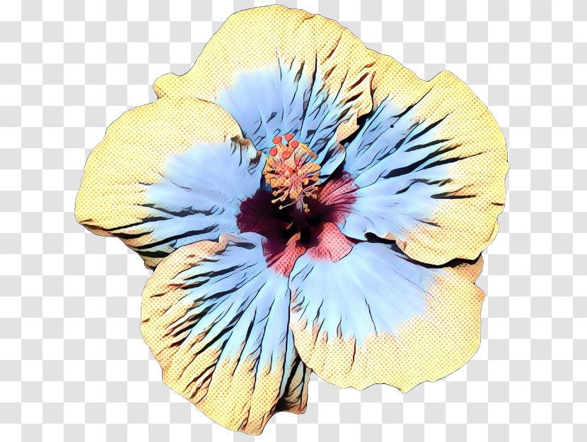 Hibiscus Hawaiian Flower Petal Plant - Chinese - Mallow Family Flowering Transparent PNG