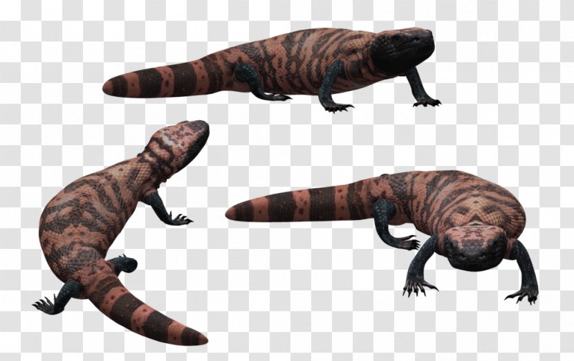 Gila Monster Rendering - Tail Transparent PNG