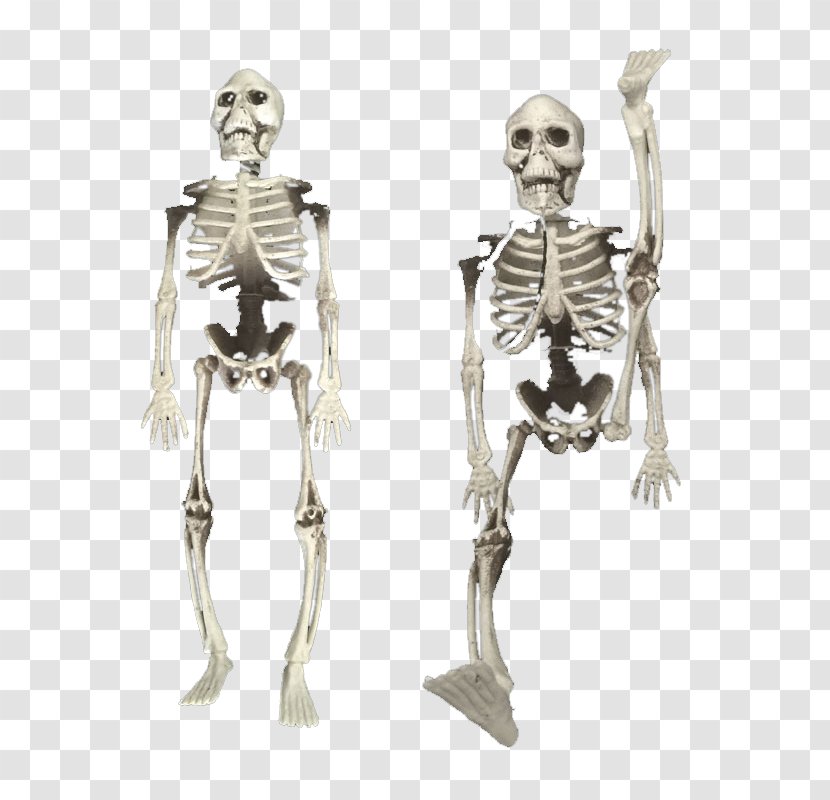 Bone April Fools Day Kuso White Skeleton - Joint - Horror Fool's Spoof Bones Props Transparent PNG