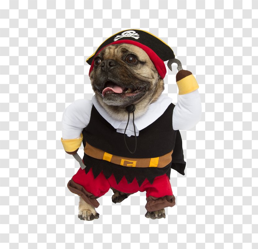Dog Breed Pug Halloween Costume Clothing - Pet - Cat Transparent PNG
