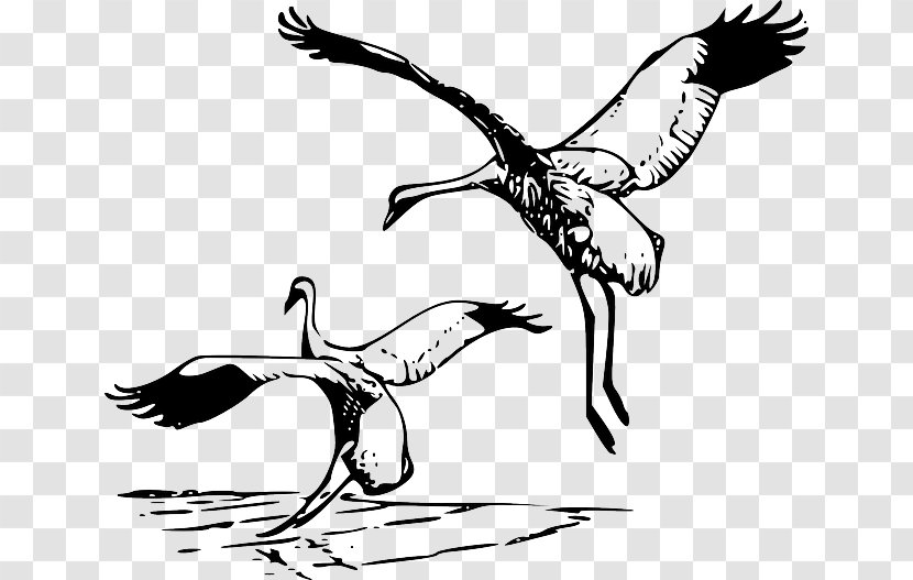 Whooping Crane Clip Art - Courtship Vector Transparent PNG