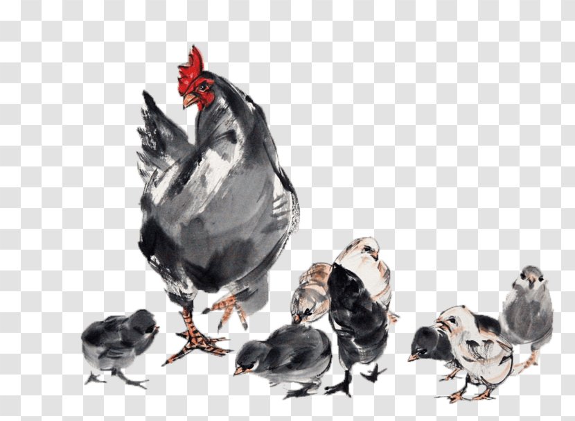 Chicken Image Chinese Zodiac Clip Art - Beak - Grosse Poule Transparent PNG