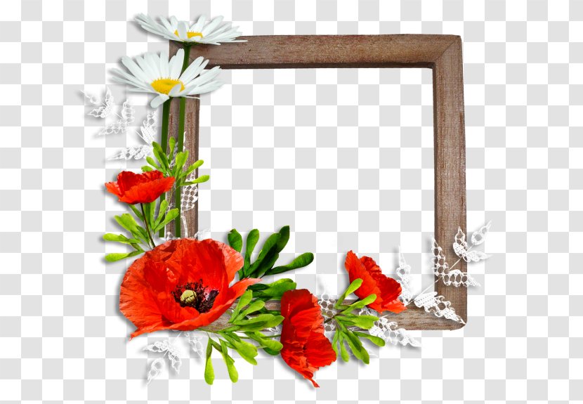 Picture Frames Poppy Flower Clip Art Transparent PNG