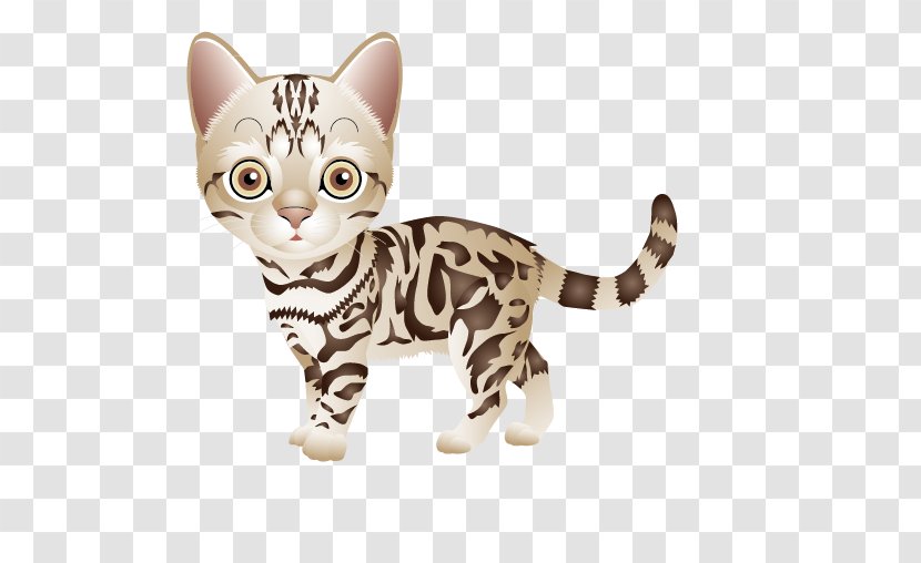 British Shorthair Persian Cat American Kitten Clip Art Transparent PNG