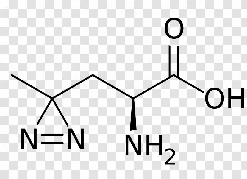 Phenylalanine Glutamic Acid Nitrotyrosine Leucine - Watercolor - Heart Transparent PNG