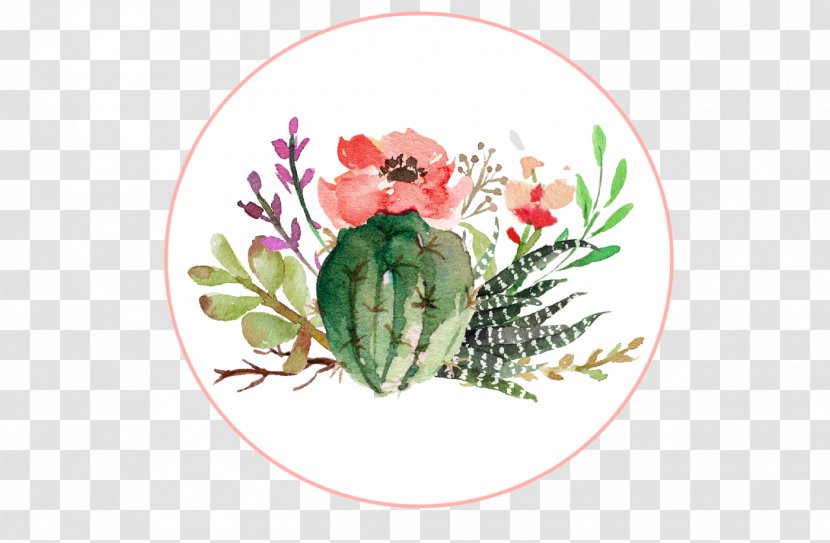 Succulent Plant Cactus Rose Watercolor Painting Watercolor: Flowers - Echeveria Transparent PNG