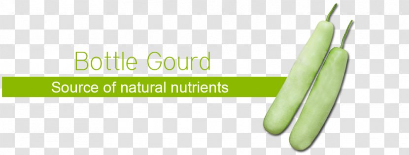 Brand Vegetable - Bitter Gourd Transparent PNG