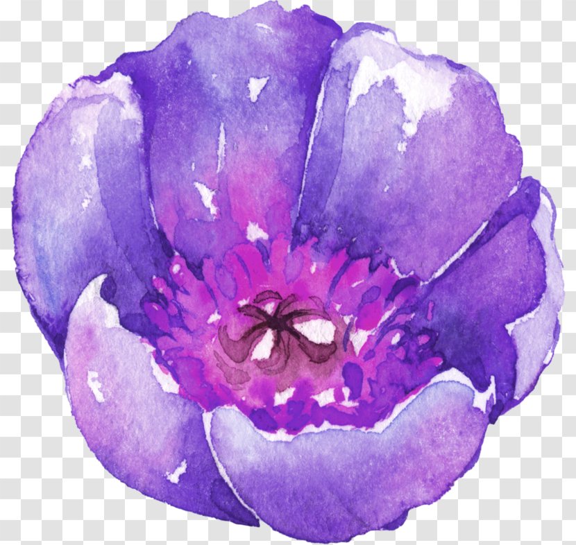 Watercolor Painting Download - Flowers Transparent PNG