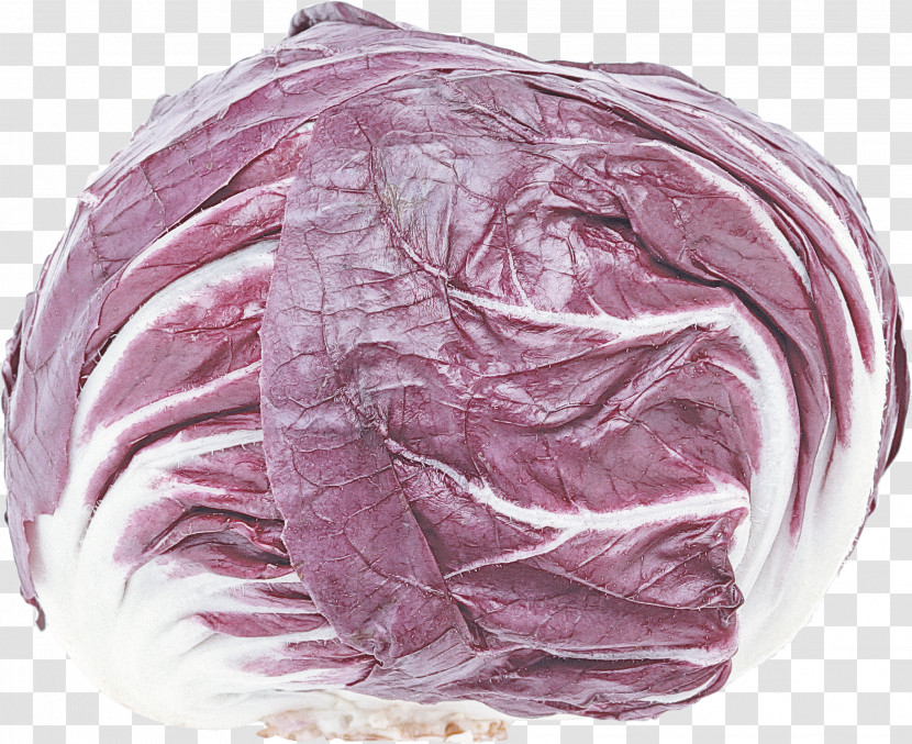 Cabbage Red Cabbage Vegetable Wild Cabbage Purple Transparent PNG