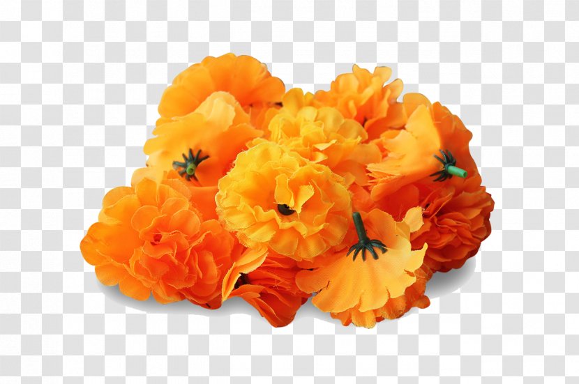 Mexican Marigold Flower Clip Art - Arranging - Transparent Image Transparent PNG